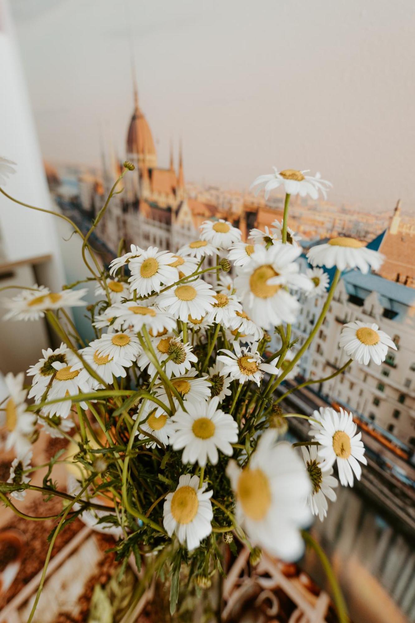 Margaret & Violet Apartments - Peaceful Stay Downtown Budapest Eksteriør billede